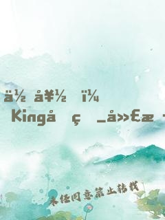你好，King先生